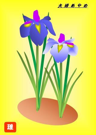 夫婦あやめ 栃木市おおひらpcクラブ イラストblog