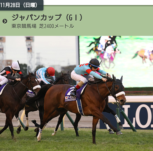 Jra指定席抽選 Jc最新倍率 ジャパンカップも現地観戦だ コントレイル引退 4世代ダービー馬集結 コントレイルにシャフリヤールにワグネリアンにマカヒキ 達人の教え