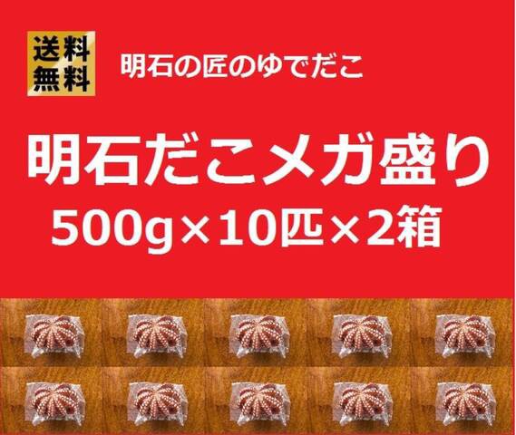 明石のタコの値段ビックリ ショウヘイの自転車と釣り日記