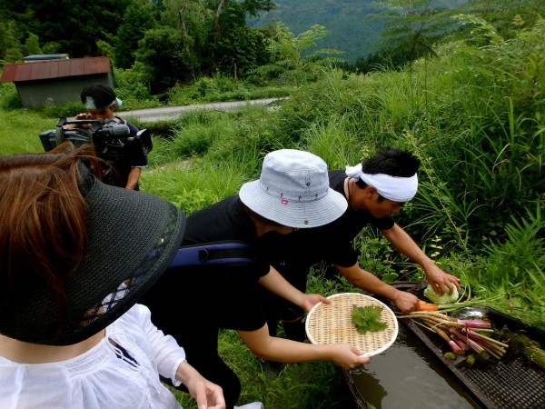 人生の楽園 おおとよ塩かえる農園のblog