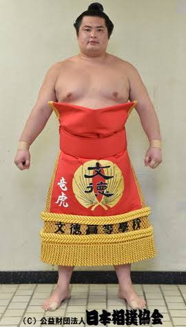 字面がカッコイイ四股名のお相撲さんを探してみる : 2ch大相撲