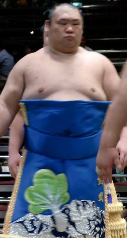 字面がカッコイイ四股名のお相撲さんを探してみる : 2ch大相撲