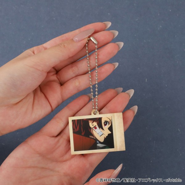 アニメ「鬼滅の刃」 ぱしゃこれ ミニアクリルキーホルダーコレクション