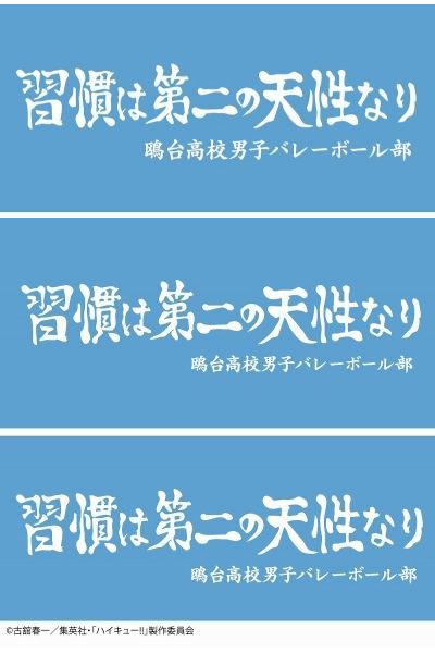 ハイキュー!! 横断幕 タオル 鴎台高校 : アニメ＆漫画 グッズ情報
