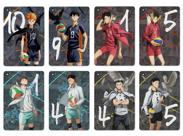 ハイキュー!! TO THE TOP フルカラーパスケース : アニメ＆漫画 グッズ情報