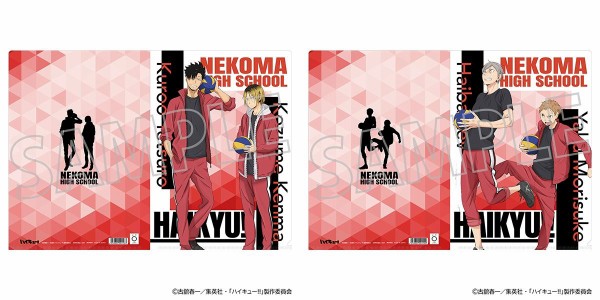 ハイキュー!! TO THE TOP クリアファイル Art-Pic 烏野高校: キャラ