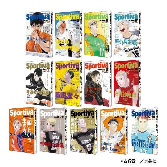 ハイキュー　漫画　1〜31巻　全巻セット 男子バレーボール 体の大きさじゃない 71nXMS5fEEL._UF350,350_QL50_.jpg