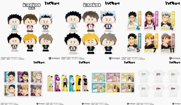 Anique×アニメ「ハイキュー!!」第2弾 : アニメ＆漫画 グッズ情報