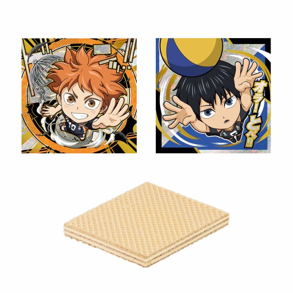 にふぉるめーしょん 劇場版ハイキュー!! ゴミ捨て場の決戦