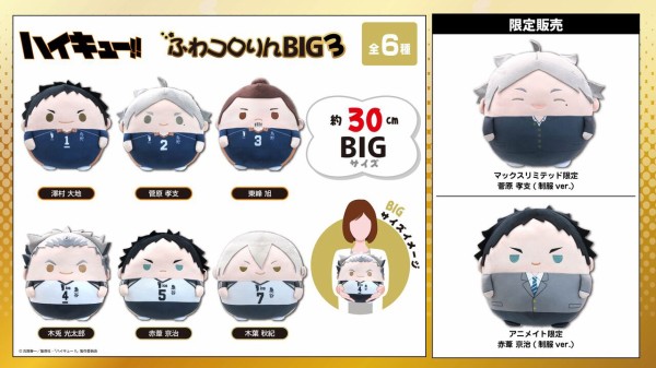 新品ぬいぐるみ 菅原孝支 ふわコロりん BIG3(ぬいぐるみ) か細く 新品ぬいぐるみ 菅原孝支 ふわコロりん BIG3(ぬいぐるみ) か細く