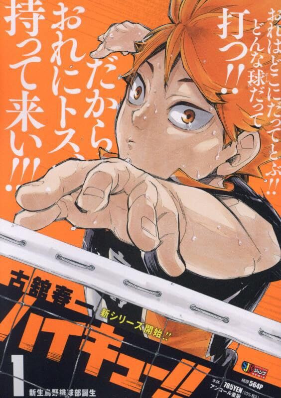 ハイキュー!! コミックス 1〜35巻+小説ⅴ、排球本 漫画