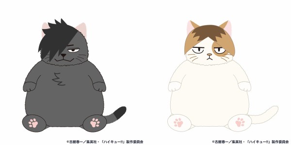 ハイキュー!! ねこ肯定感 : アニメ＆漫画 グッズ情報