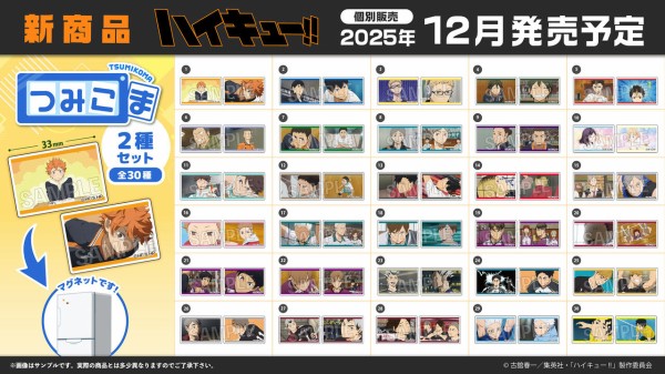 ハイキュー!! つみこま 2種セット : アニメ＆漫画 グッズ情報