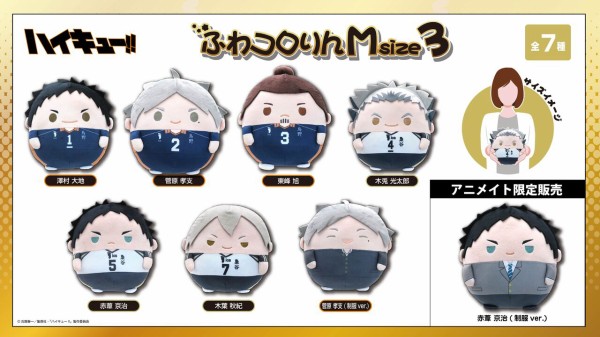 ハイキュー‼︎赤葦京治　ふわコロりん　Msize3 31dtesffN4L.jpg_BO30,255,255,