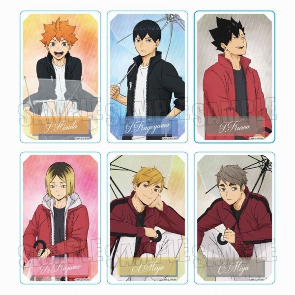 ハイキュー!! rain ver. : アニメ＆漫画 グッズ情報