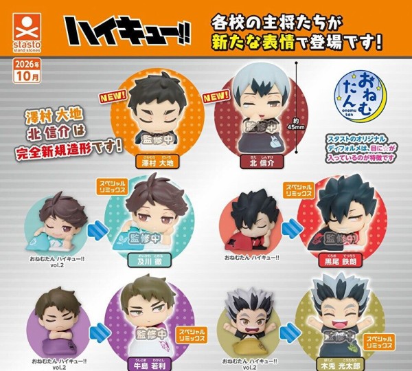 10月発売】おねむたん ハイキュー!! スペシャルリミックス主将編 