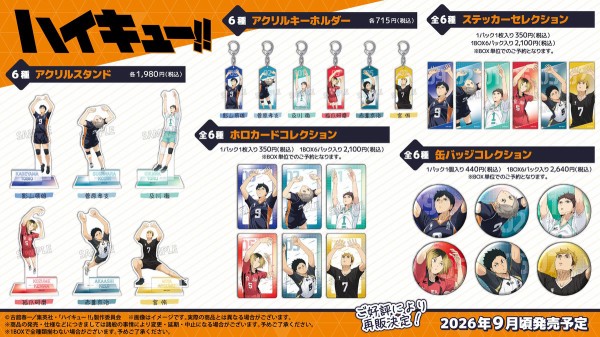 ハイキュー!! みんなの背番号！/セッタービジュアルVer. : アニメ