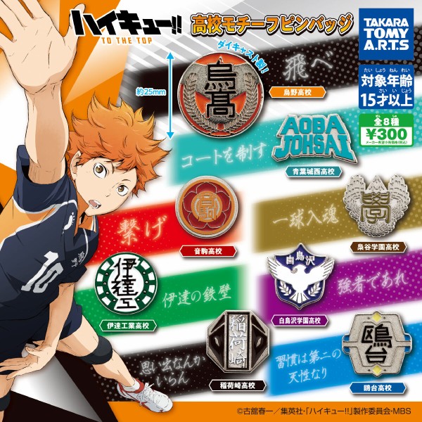 ハイキュー5周年記念ピンバッジ烏野セット ハイキュー5周年記念ピンバッジ烏野セット