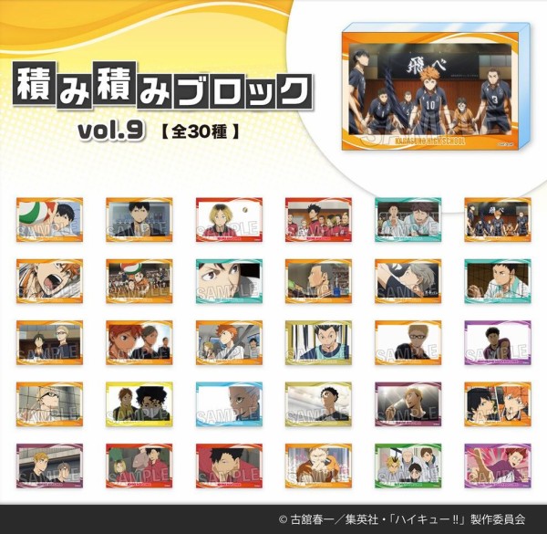 ハイキュー!! 積み積みブロック vol.9 : アニメ＆漫画 グッズ情報