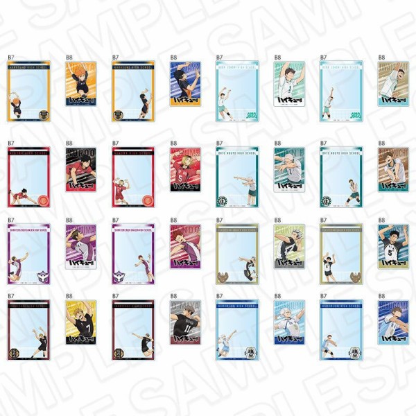 新品ケース 「ハイキュー‼︎」 1期〜4期＋劇場版＋α 全35巻 ☆超豪華セット☆ アニメ 「ハイキュー!!」 硬質カードケースセット : アニメ＆漫画