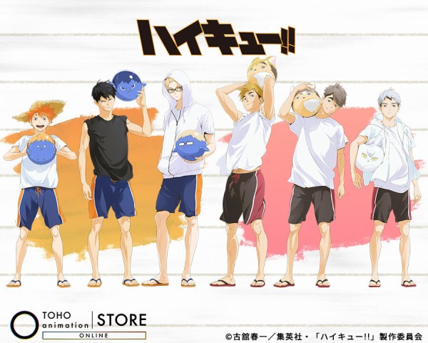 ハイキュー!! ビーチボールVer. ビジュアルグッズ : アニメ＆漫画