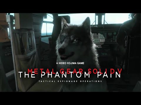 Mgsv Tpp Mgs5のddが無能すぎて泣く おもしろゲーム速報