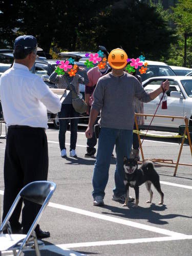 ドックランで遊んできました 山形県米沢市ビクトリー Oriori Style