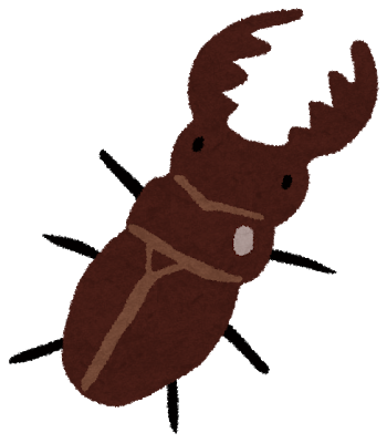 画像 風呂の窓開けてたらオオクワガタ入ってきてワロタｗｗｗｗｗｗｗｗｗｗｗｗｗｗｗｗｗｗｗｗｗｗｗｗｗｗｗｗ おる速