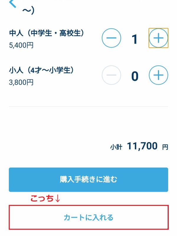 新規チケット購入ボタン←→オレンジ文字画面の×マークを交互に押し