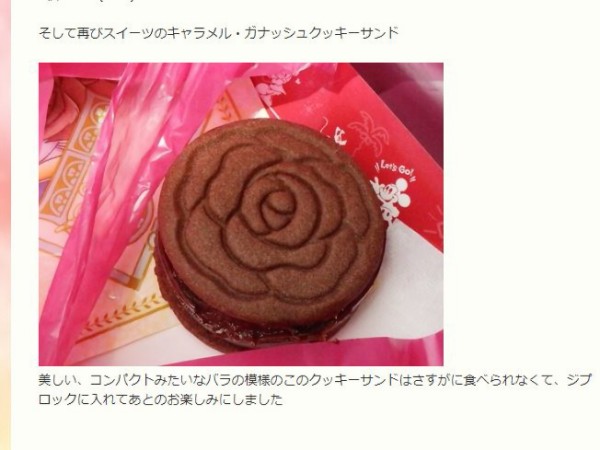 サダハルコンプのゆくえ おばさんと小学生の内緒のディズニー