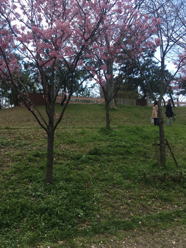 大阪港にある 天保山 大阪どっかいこ