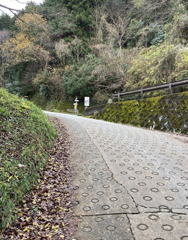 大阪と奈良の県境「酷道・暗峠（再訪）」 : 大阪どっかいこ！