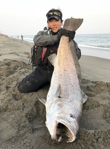 Nhk 巨大魚を追って奮闘する釣り人たちに密着 ドキュメント72時間 宮崎 ナゾの巨大魚を追え 1月31日放送 お魚まとめ