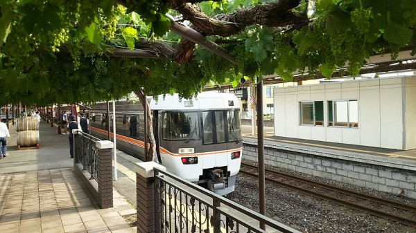 諏訪しなの号 茅野→名古屋 : 鮮魚特急・ボックス席