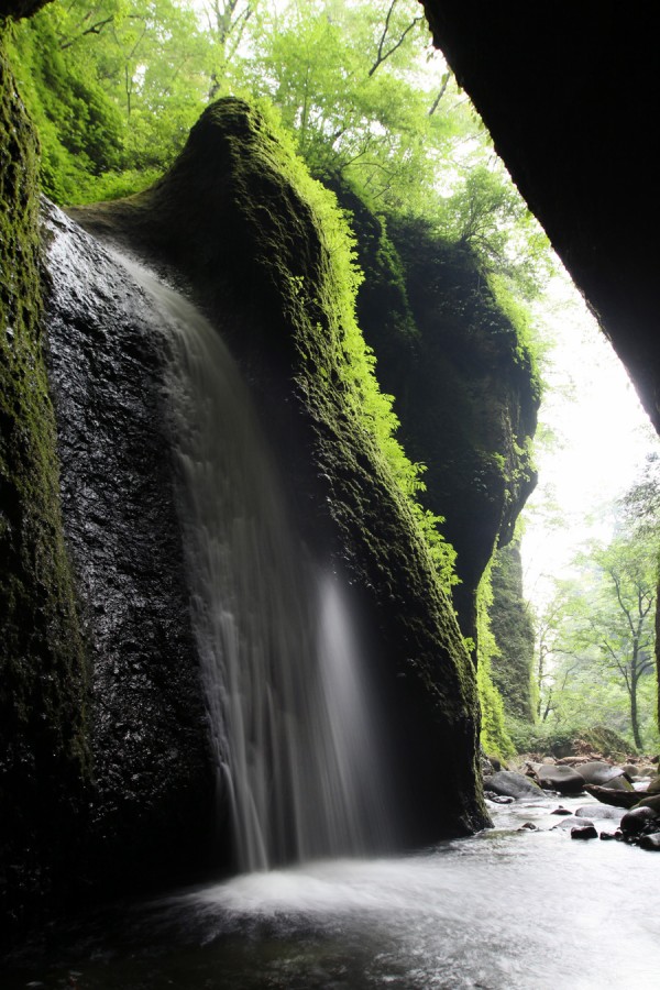 緑の洞窟に落ちる滝 シワガラの滝 へ Kobe Green Trail