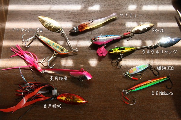 超楽しい 真夏のアコウ釣り ジグ スピナー等メタル系ルアーで爆釣 お魚seasons