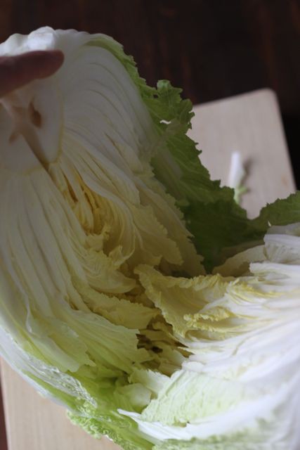 白菜のお漬けもんの作り方 本日完成 オサルノビタミン