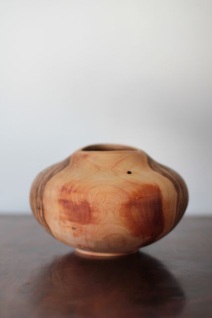 須田二郎 木の卵