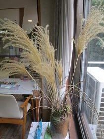 すすき 飾りました せせらぎデイサービス通信