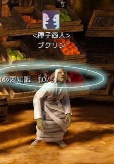 黒い砂漠 種子商人さん紹介します ハウジングhousing 家具の種 黒い砂漠c鯖 おしちのブログ