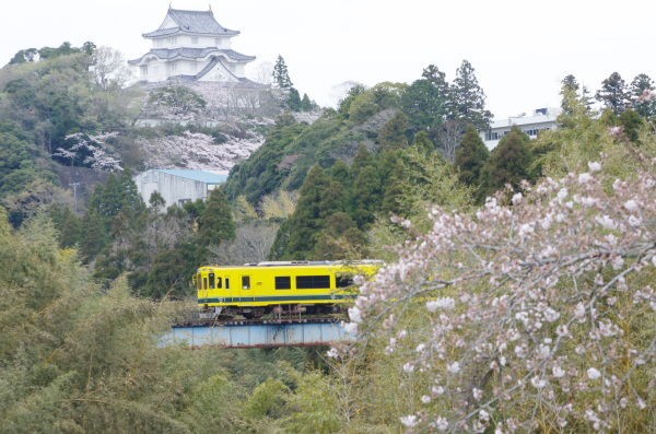 いすみ鉄道と大多喜城 いすみ鉄道撮影地案内 菜の花 桜 あじさい 彼岸花など