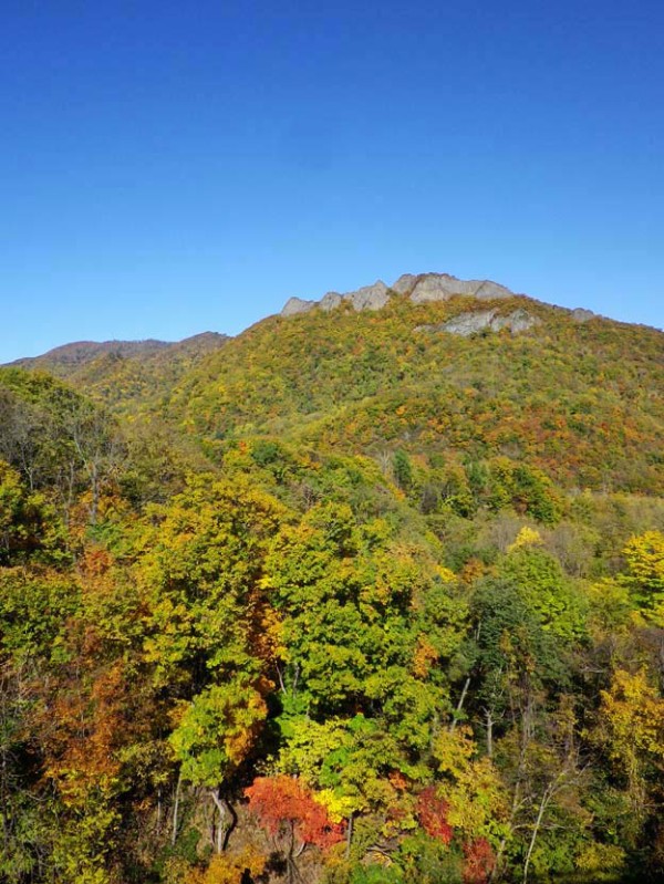 10月26日 定山渓の紅葉 : オットーの貼雑年譜（はりまぜねんぷ）
