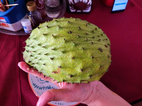 guanabana グァナバナ SUMMER SALE】GUANABANA handmade(グアナバナハンドメイド