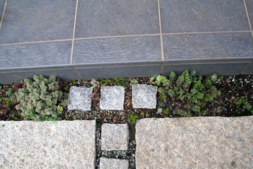 鳥害対策 多肉棚完成 庭作業備忘録