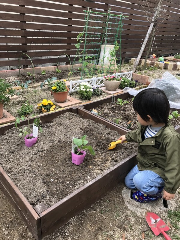 家庭菜園 レイズドベッドdiyして畑を拡張 ２年目 お家イズム