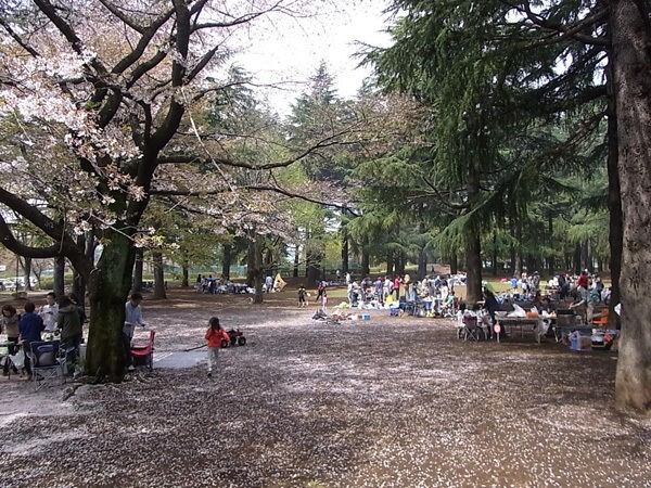 野川公園 q 調布 Outdoormixのblog