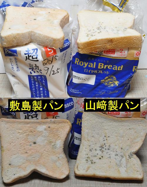 美と健康(山崎パンにカビが生えた!) : 京丹後のおやじのうんちく