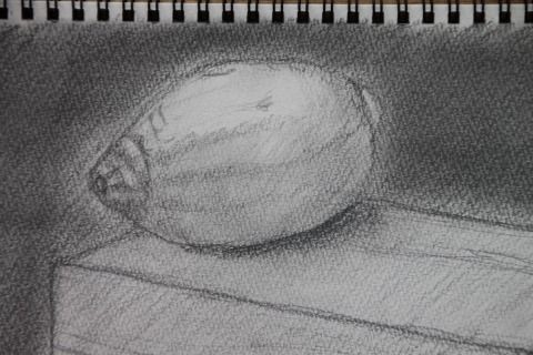 独特の形と質感 1 8鉛筆デッサン 基礎コース 後編 絵画教室 ｏｚ