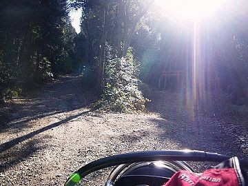 林道アタック 大縣 入鹿池 Route P