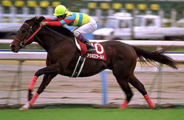 ウマ娘 アグネスワールドとかウイングアロー説ある パカ娘速報 ウマ娘まとめブログ